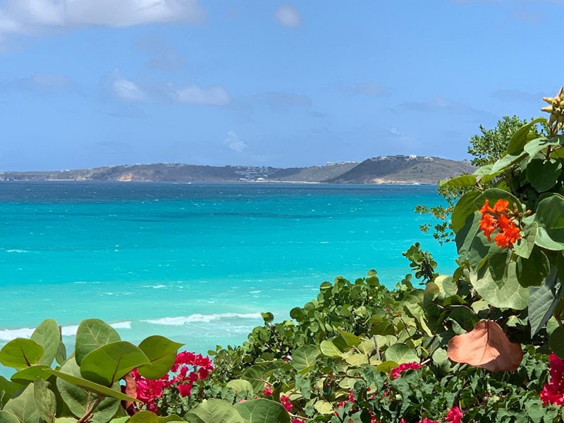 Long Bay Villas